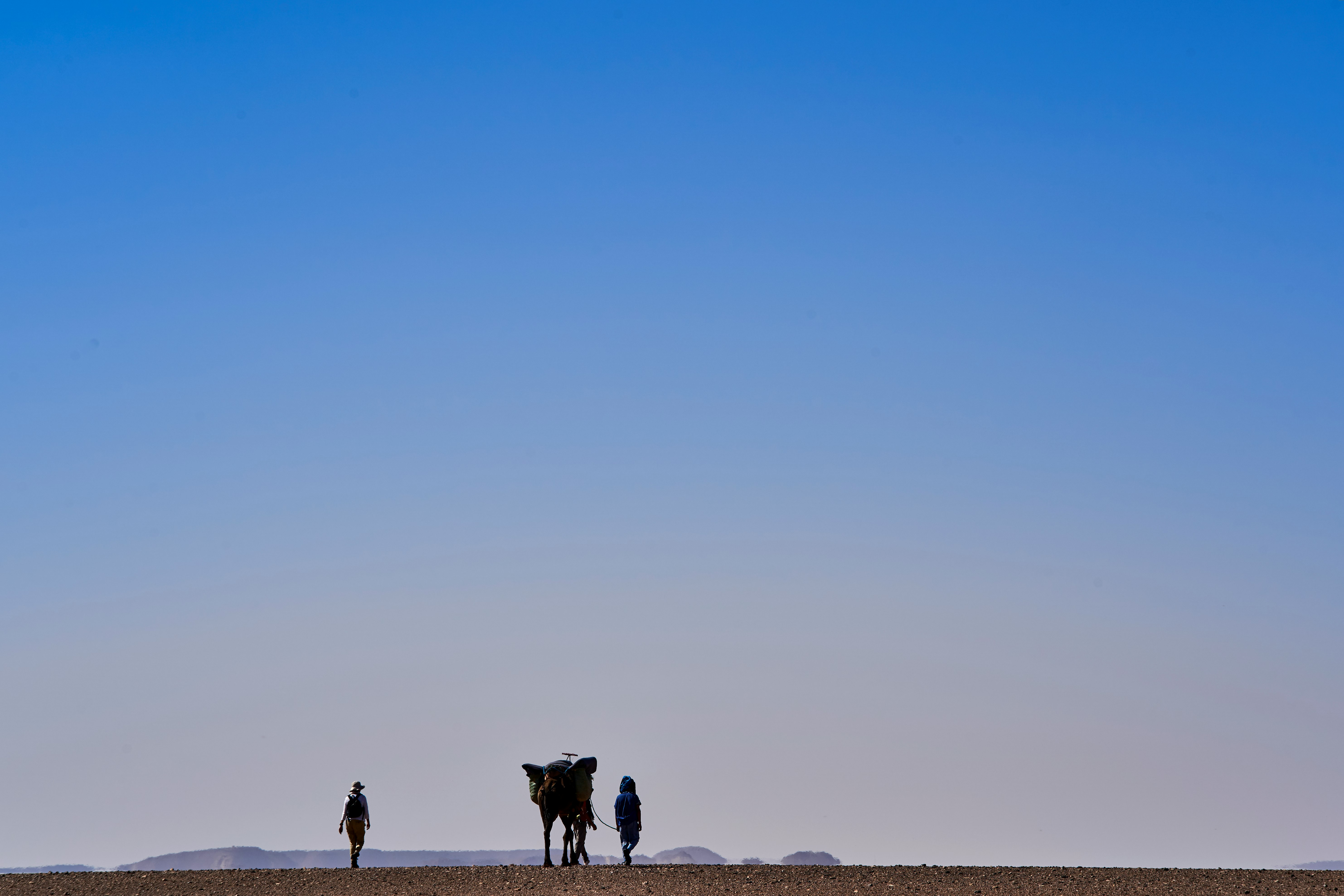silhouette of two persons walking with four legged animal during daytime